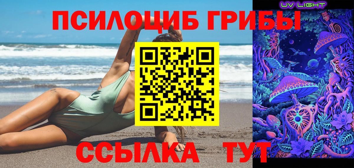 Елец  Псилоцибиновые грибы MAGIC MUSHROOMS  Псилоцибиновые грибы Psilocybine cubensis  Вход с VPN 